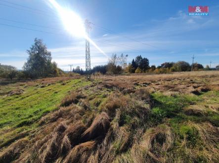 Prodej - pozemek, trvalý travní porost, 10 565 m²