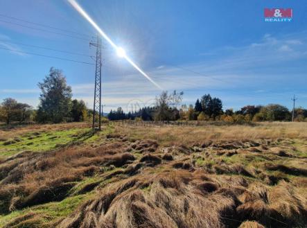 Prodej - pozemek, trvalý travní porost, 10 565 m²