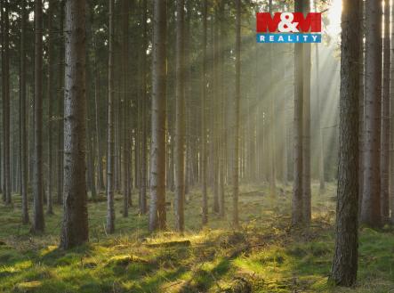 Prodej pozemku, les, 6 740 m²