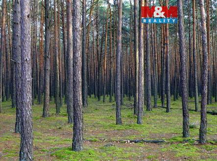 Prodej pozemku, les, 6 740 m²