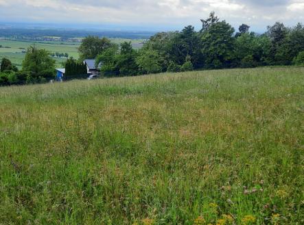Prodej pozemku, zemědělská půda, 1 419 m²