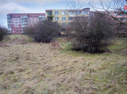 Prodej - pozemek pro bydlení, 3 928 m²