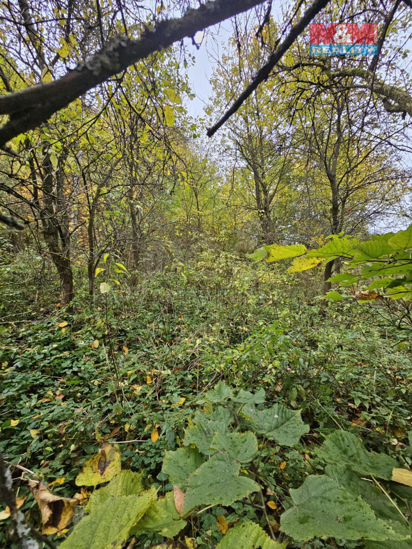 Křižanov u Zábřaha 33(3).jpg