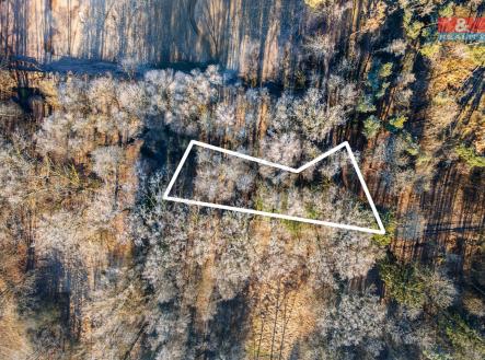 Prodej pozemku, les, 685 m²