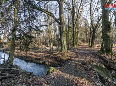 Prodej pozemku, les, 685 m²