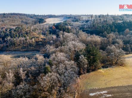 Prodej pozemku, les, 685 m²