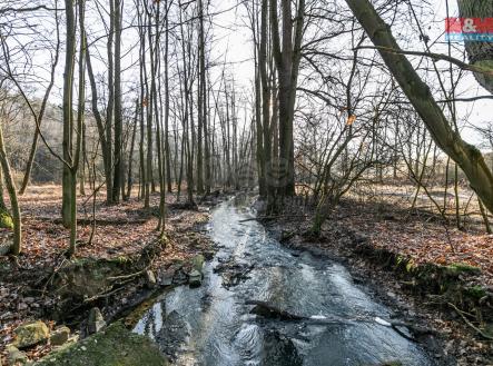 Prodej pozemku, les, 685 m²