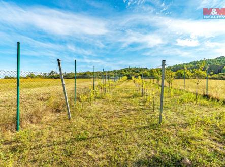 Prodej - pozemek, zemědělská půda, 1 263 m²