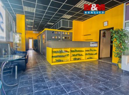 Pronájem obchodní prostor, 222 m²