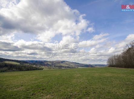 Prodej - pozemek, trvalý travní porost, 8 424 m²