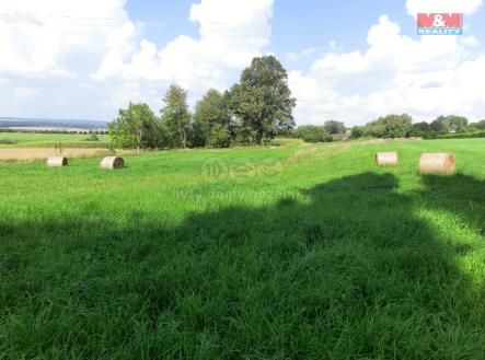 Prodej pozemku pro bydlení, 3 885 m²