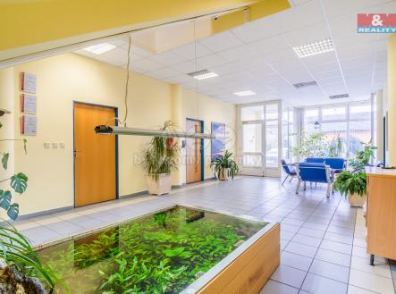 Prodej - kanceláře, 832 m²