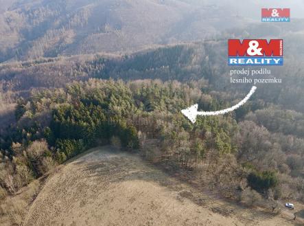 Prodej - pozemek, les, 81 768 m²