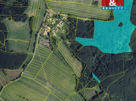 Prodej pozemku, les, 81 768 m²