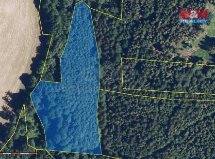 Prodej pozemku, les, 8 566 m²