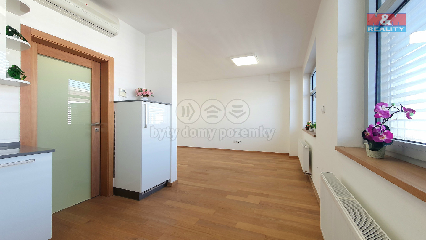 Fotku se nepodařilo načíst.