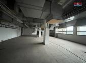 Pronájem skladovací prostor, 600 m²