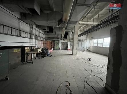 Pronájem - skladovací prostor, 600 m²