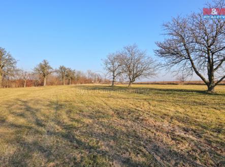 Prodej pozemku, zemědělská půda, 8 245 m²