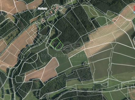 Prodej - pozemek, les, 8 354 m²