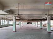Pronájem obchodní prostor, 700 m²