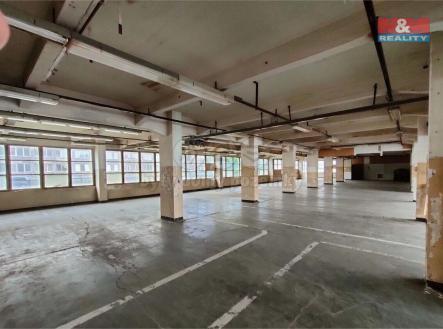 Pronájem - obchodní prostor, 700 m²
