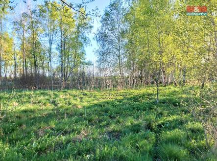 Prodej pozemku pro bydlení, 2 966 m²