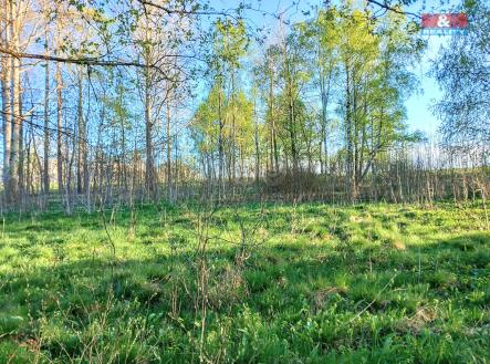 Prodej pozemku pro bydlení, 2 966 m²