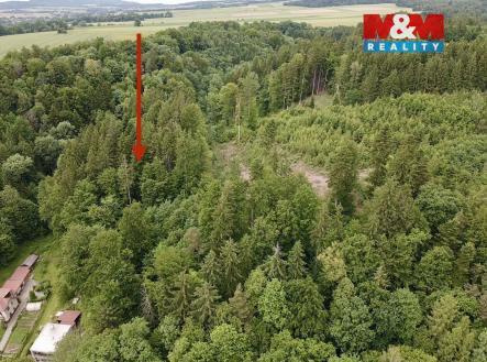 Prodej pozemku, les, 2 745 m²