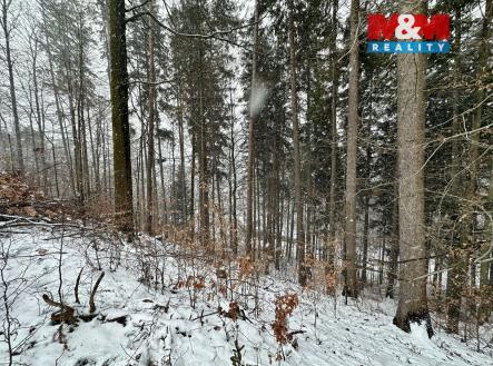 Prodej pozemku, les, 2 745 m²