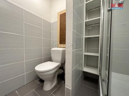 Pronájem bytu, 1+kk, 28 m²