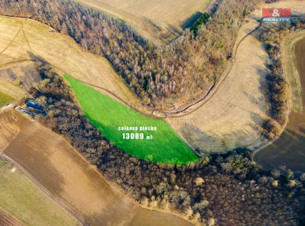 Prodej - pozemek, trvalý travní porost, 13 089 m²