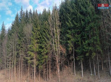 Prodej pozemku, les, 4 785 m²