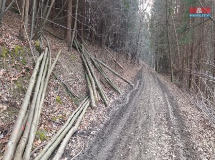 Prodej pozemku, les, 4 785 m²