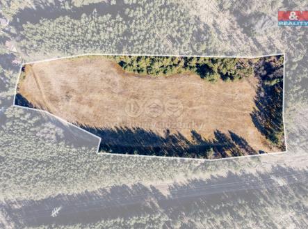 Prodej - pozemek, trvalý travní porost, 24 163 m²