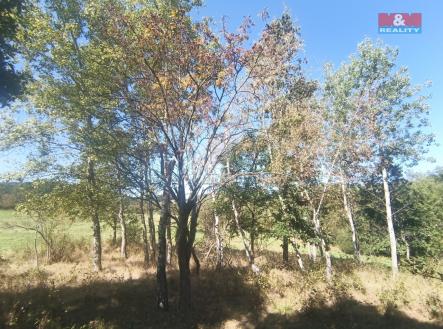 Prodej - pozemek, ostatní, 3 069 m²