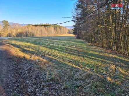 Prodej pozemku, trvalý travní porost, 1 845 m²