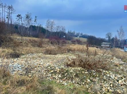 Prodej - pozemek, trvalý travní porost, 1 217 m²