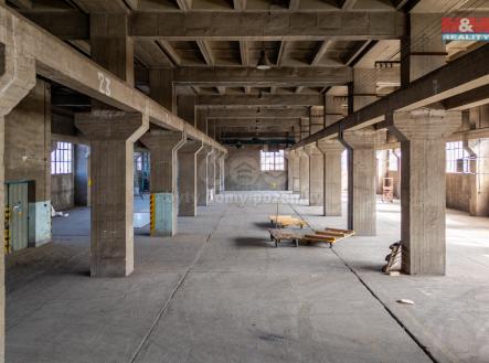 Pronájem výrobní prostor, 12 000 m²