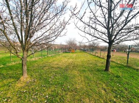 Prodej pozemku, zemědělská půda, 4 096 m²