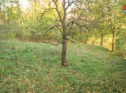 Prodej - pozemek pro bydlení, 861 m²