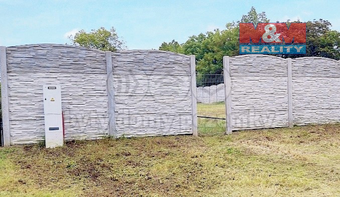 IMG_20250311_070059 (1).jpg