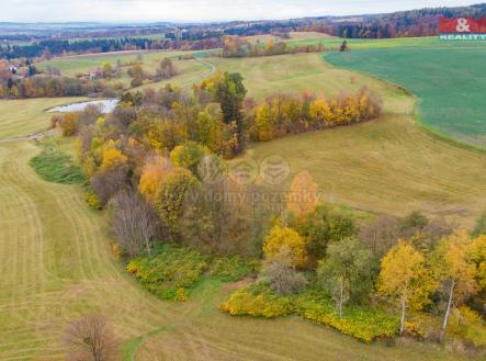 Prodej - pozemek, trvalý travní porost, 1 800 m²