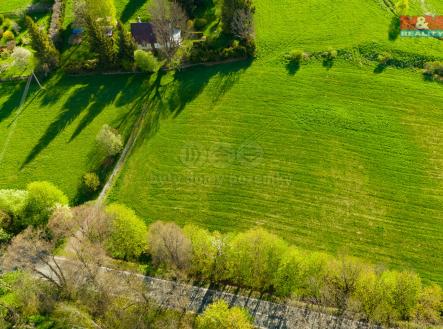 Prodej - pozemek, trvalý travní porost, 3 616 m²