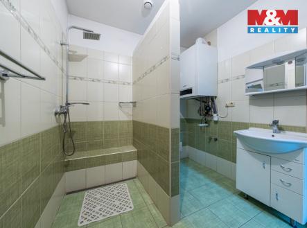 Prodej domu/vily, 250 m²