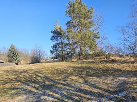 Prodej - pozemek, trvalý travní porost, 524 m²