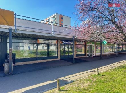Pronájem - obchodní prostor, 265 m²