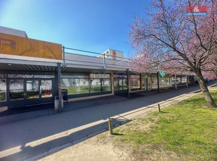Pronájem - obchodní prostor, 265 m²