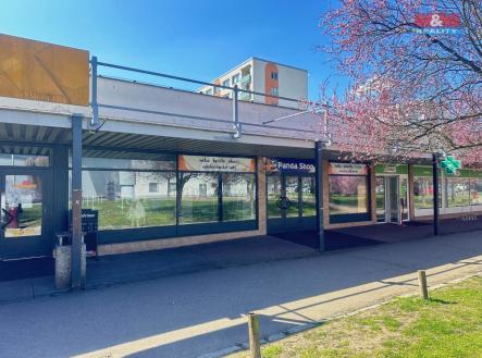 Pronájem - obchodní prostor, 265 m²