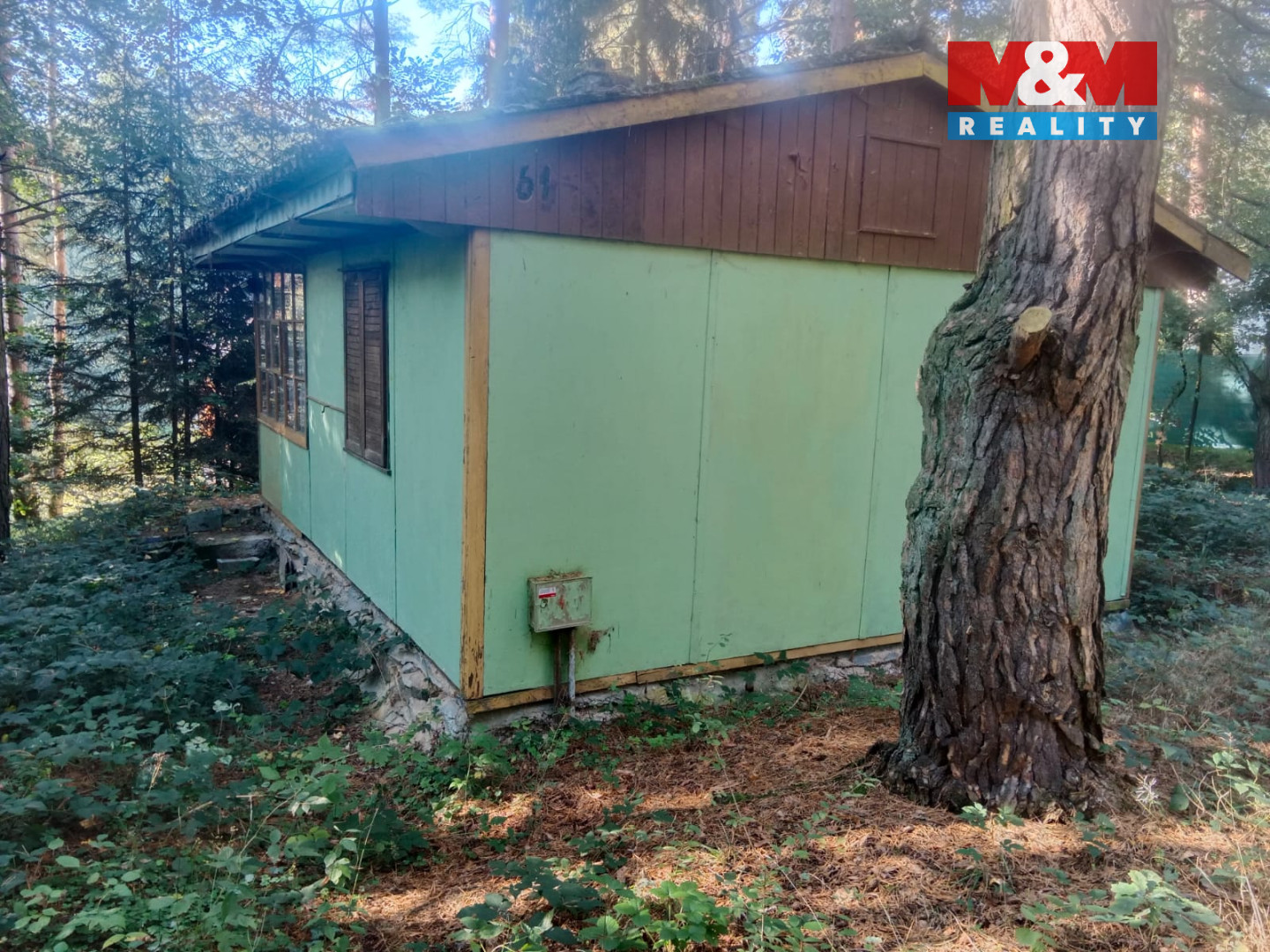 WhatsApp Image 2025-10-14 at 11.18.21 (3).jpeg